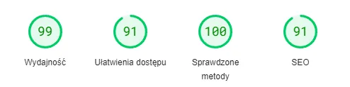 wynik pagespeed
