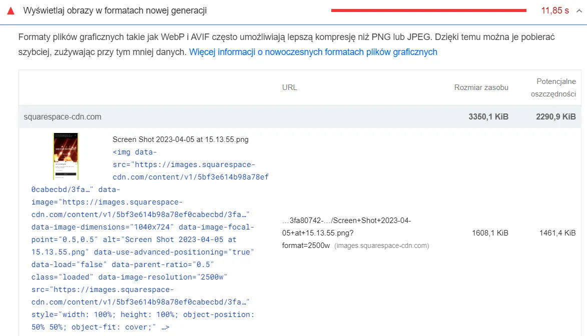 przykładowa oszczędność miejsca pokazana w narzędziu pagespeed insights