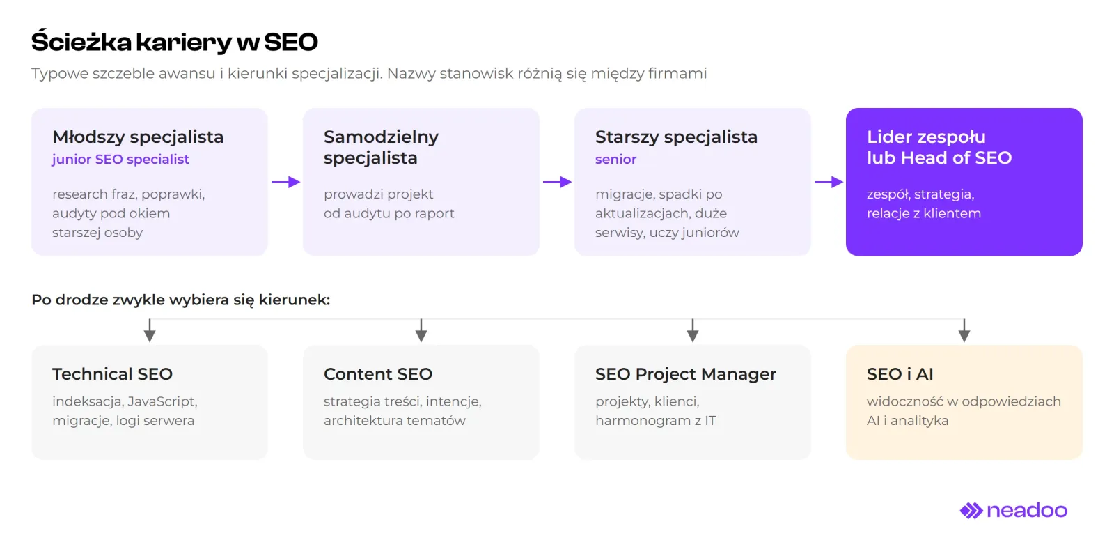 Schemat ścieżki kariery w SEO. Górny rząd ze strzałkami: młodszy specjalista (junior SEO specialist), samodzielny specjalista, starszy specjalista (senior), lider zespołu lub Head of SEO. Dolny rząd, kierunki specjalizacji: Technical SEO, Content SEO, SEO Project Manager oraz SEO i AI